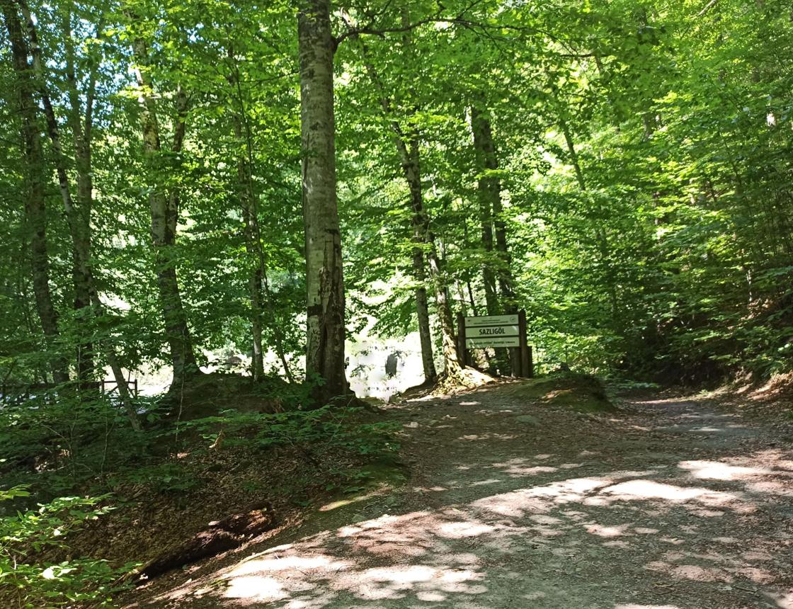 Head to Uzungöl and enjoy a Uzungöl tour