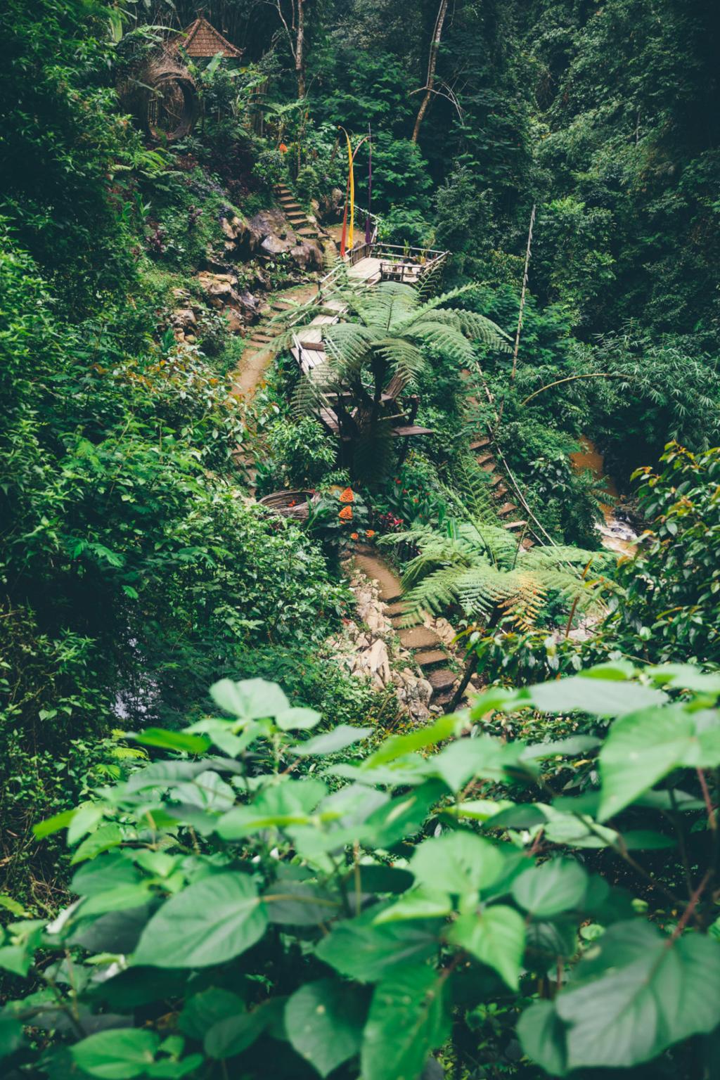 جولة لوفينا والطبيعة