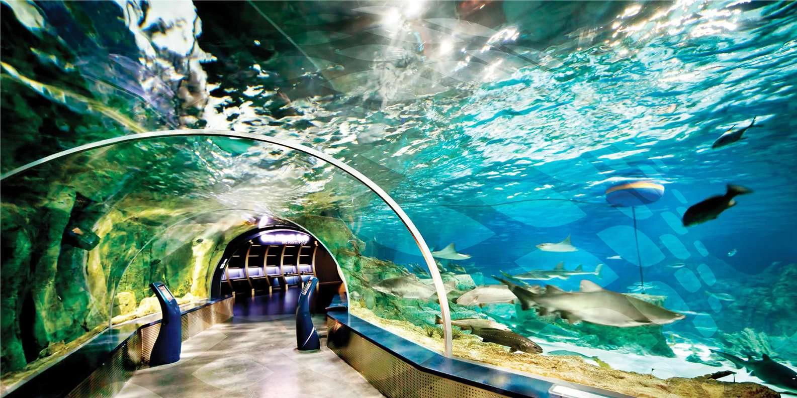 فلوريا مول والأكواريوم