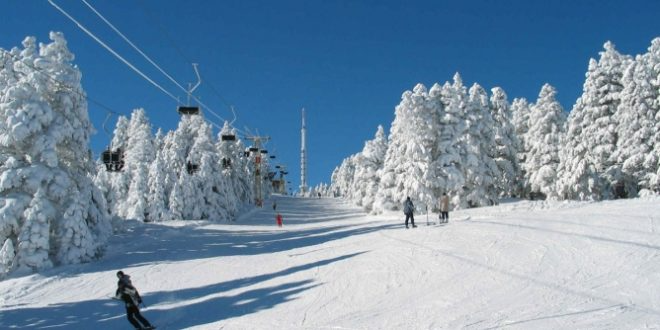 بـاكـوريـانـي – 1 ليلة