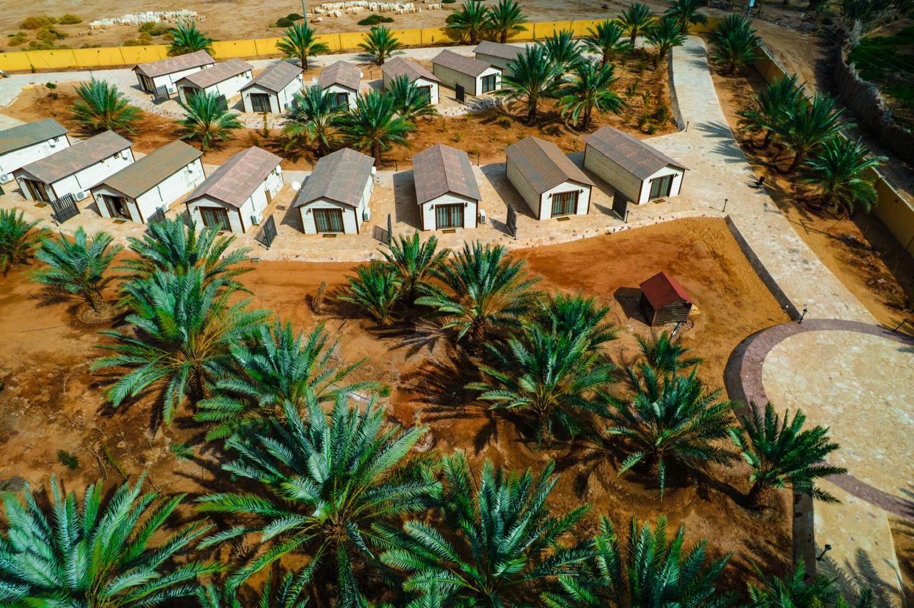معرض الصور